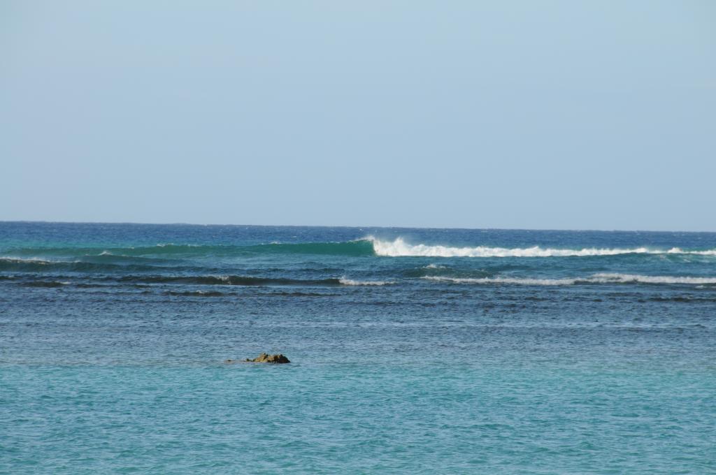 03_22_2009 029.jpg